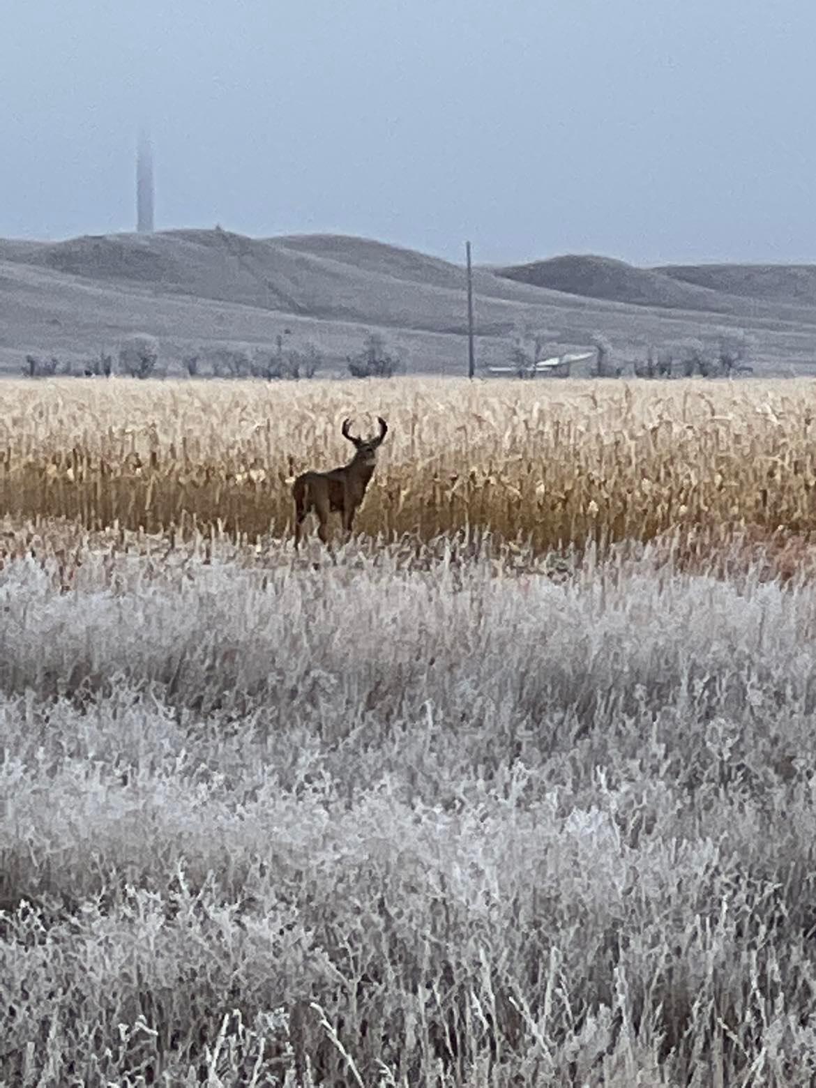 317439121_853623729169362_3813469033239397131_n